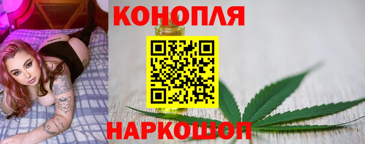 Бошки Шишки White Widow  МАРИХУАНА Ganja  Вход с VPN  Городец  МАРИХУАНА SATIVA & INDICA 